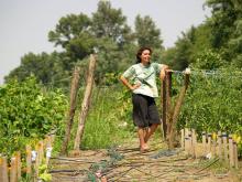 Ildi, Queen of the Eco-Garden